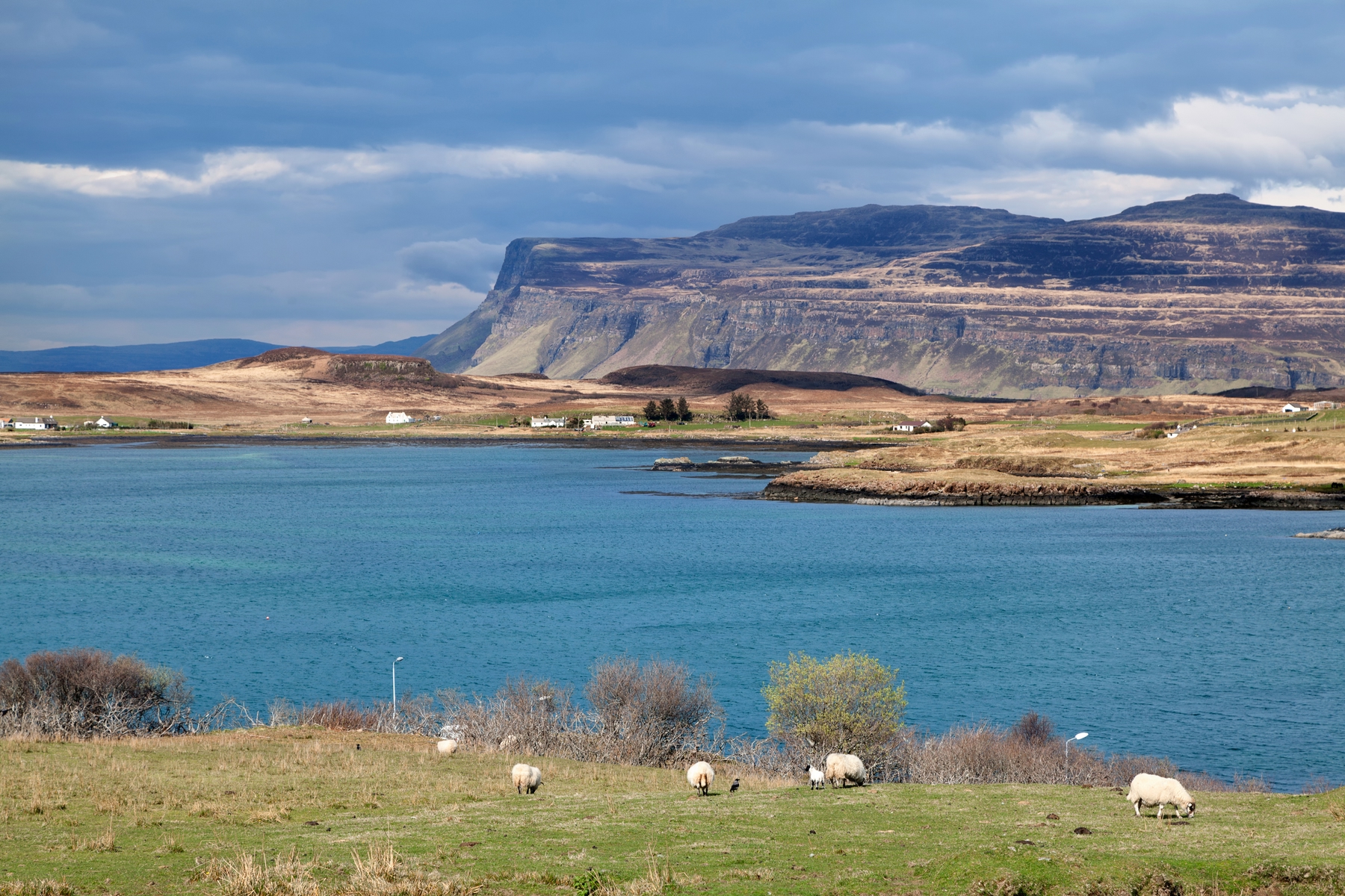Argyll, Scotland, is full of scenic routes with lochs, mountains and sheep.