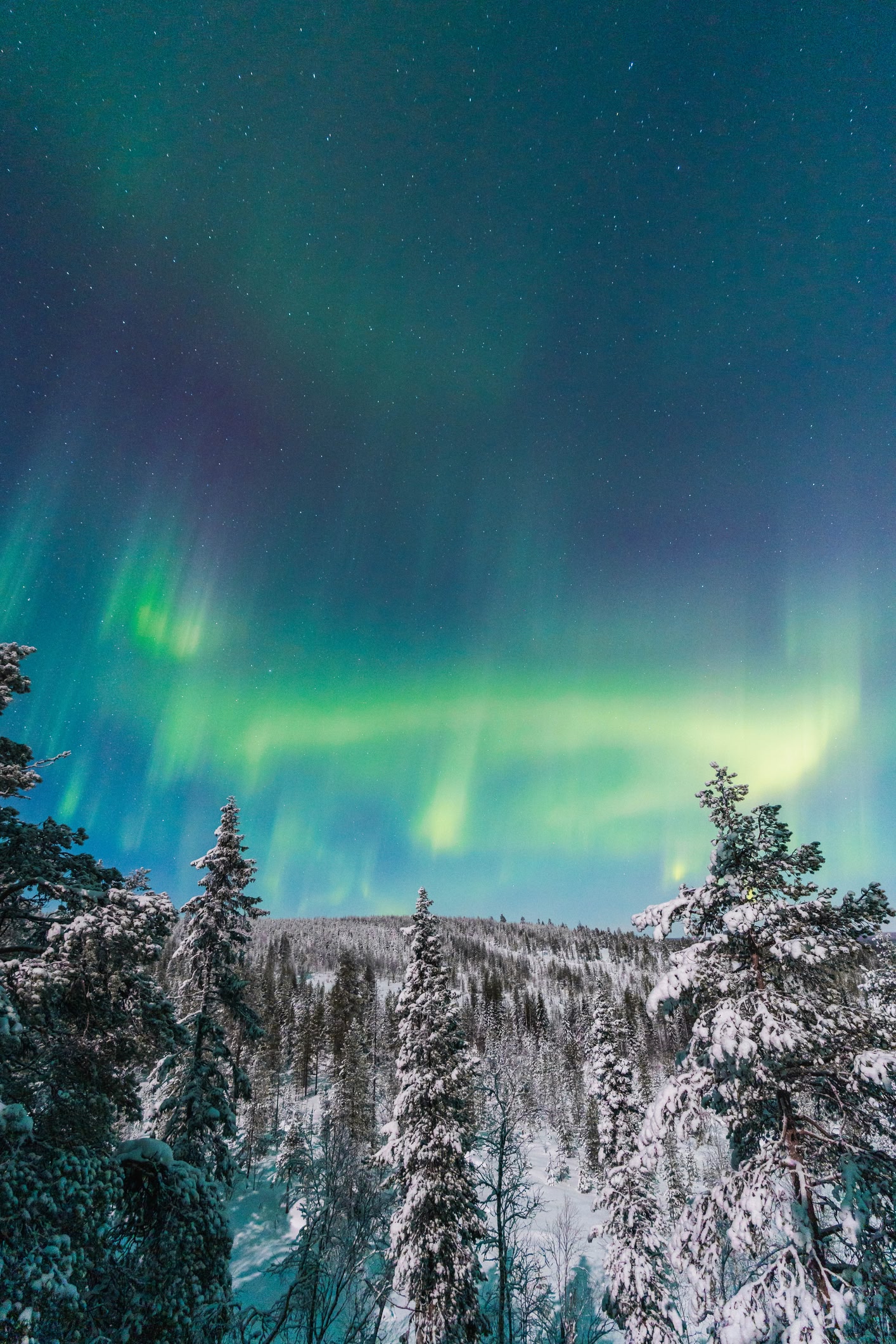 Green and purple northern lights in Rovaniemi, Finnish Lapland.