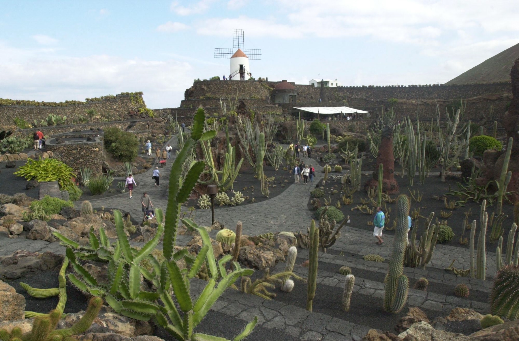 Cactus Garden Lanzarote