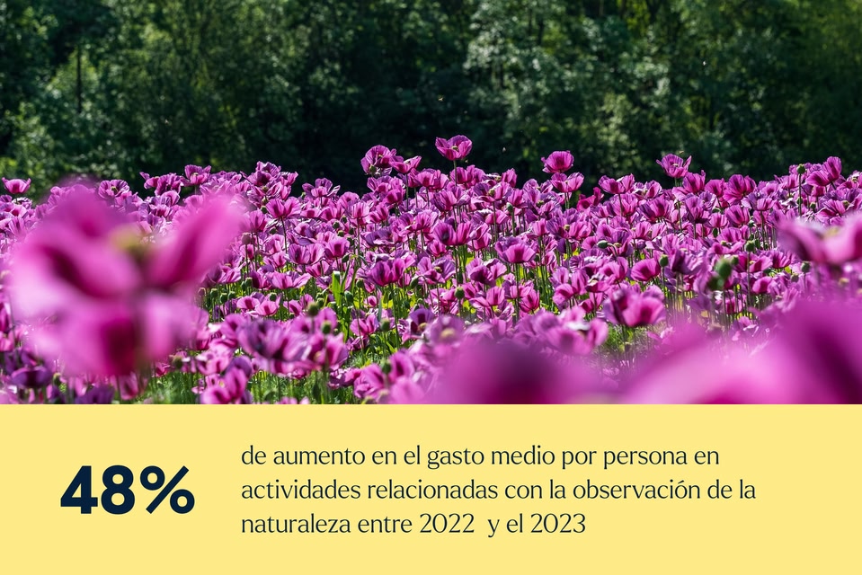 48% de aumento en el gasto medio por persona en actividades relacionadas con la observación de la naturaleza entre 2022 y el 2023