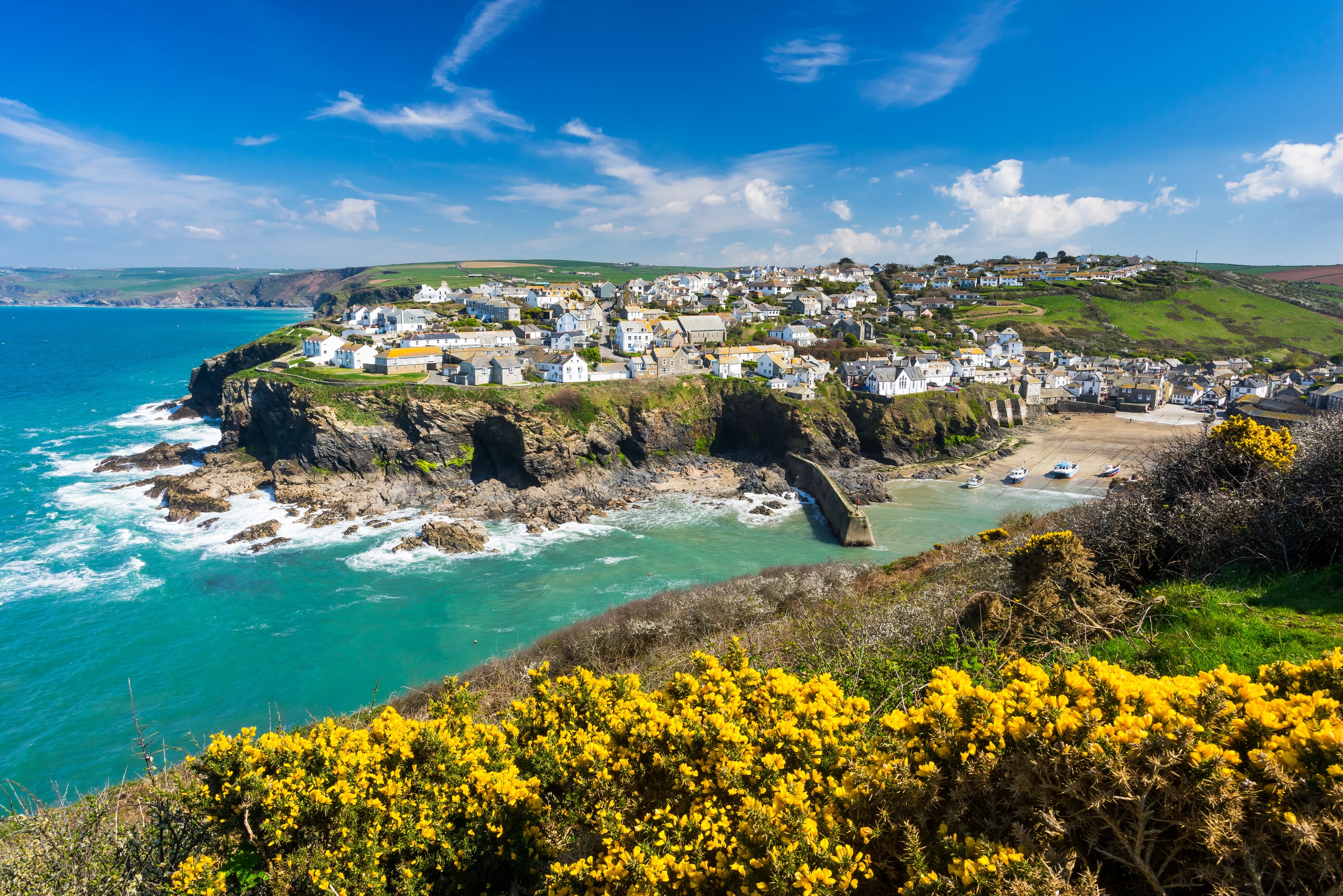 Spring flowers overlooking town in Cornwall