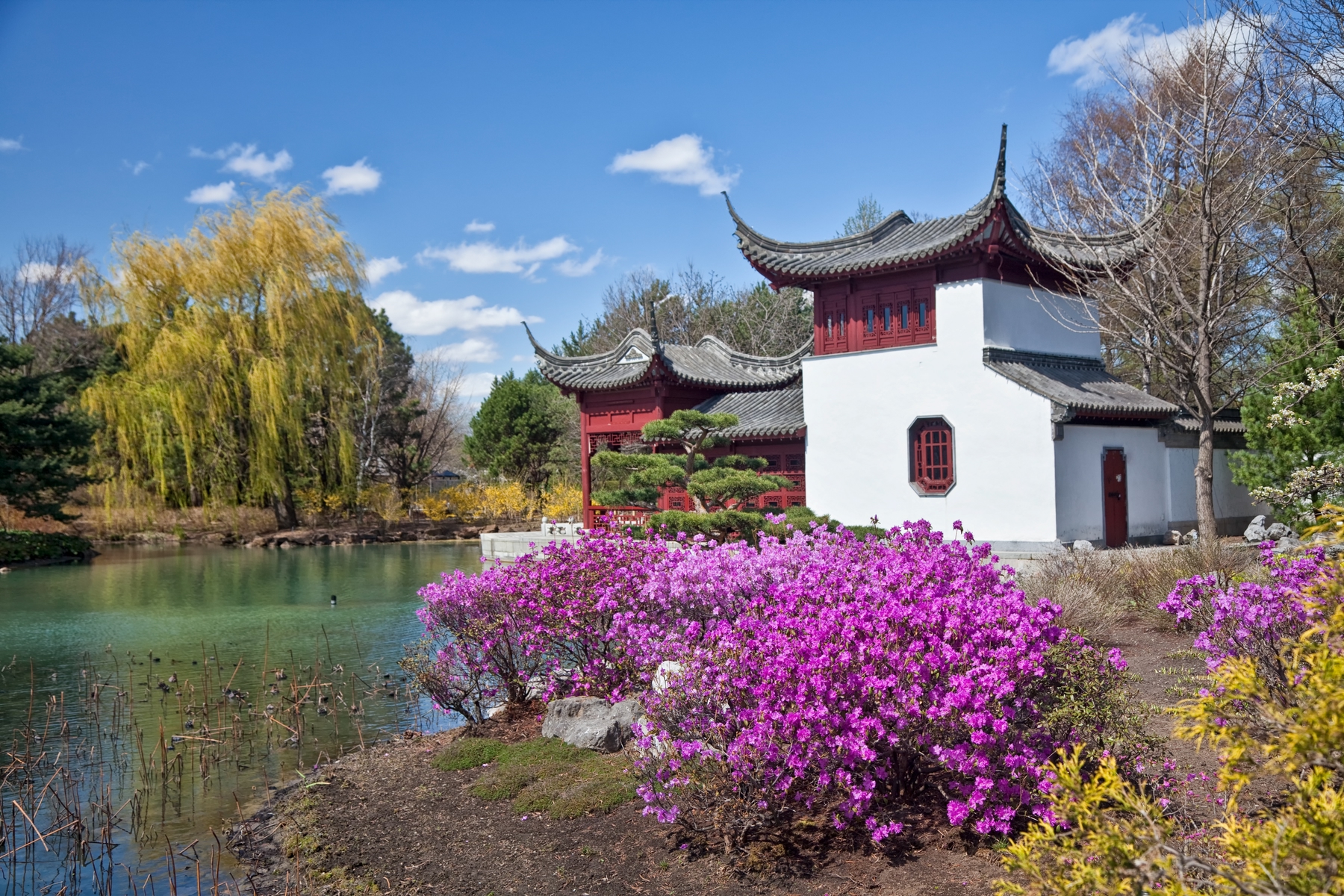 Chinese-style structure at Montreal Botanical Gardens