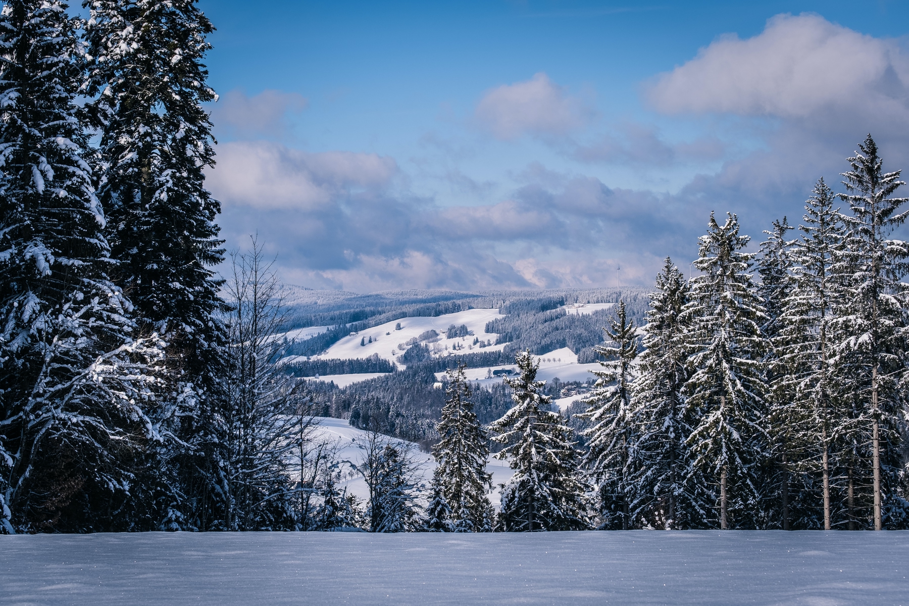 Winter im Schwarzwald