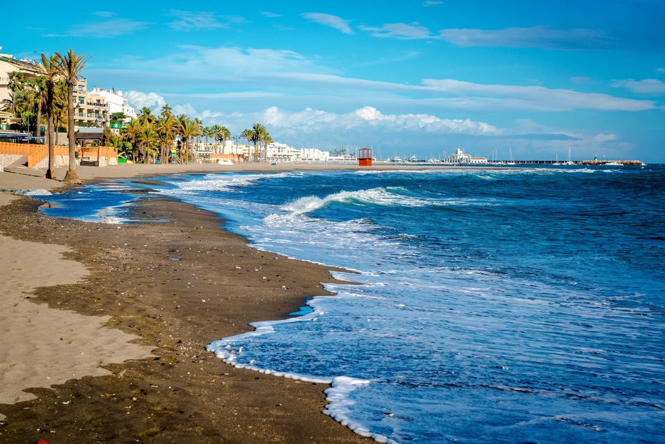 The beach in Malaga, with palm trees and the city behind it.