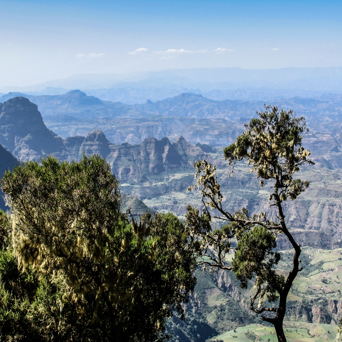Die schönsten Reiseziele Afrikas: Simien Nationalpark, Äthiopien