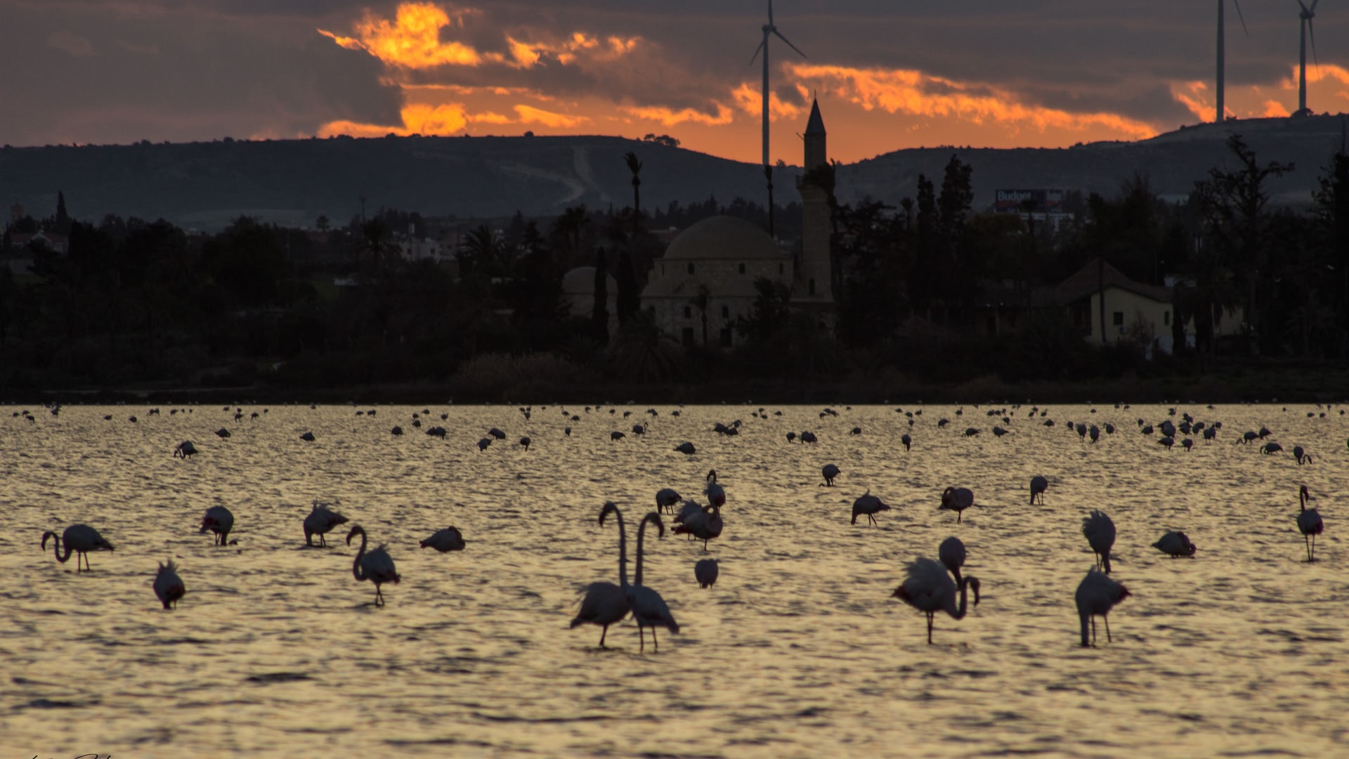 Larnaca
