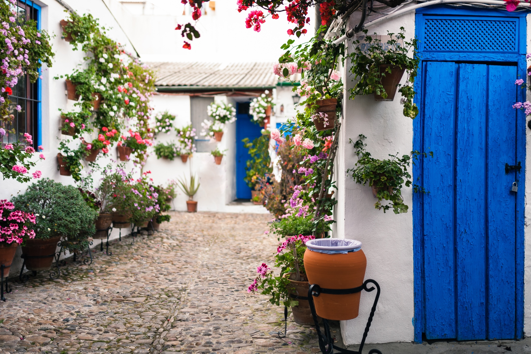 Festival de Patios de Córdoba