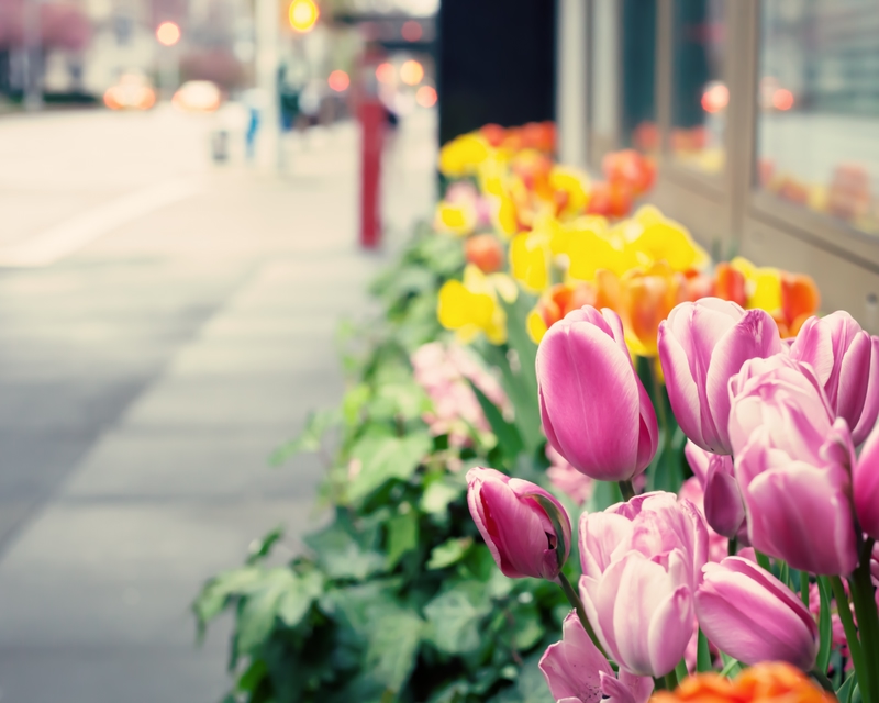 Bulan September-November