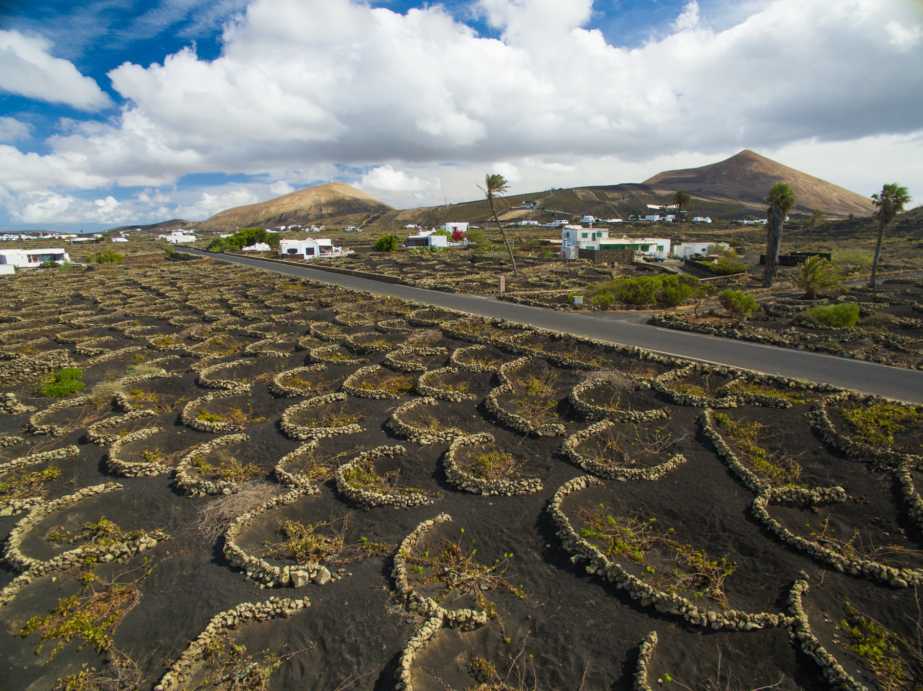 Bodegas Martinon Lanzarote