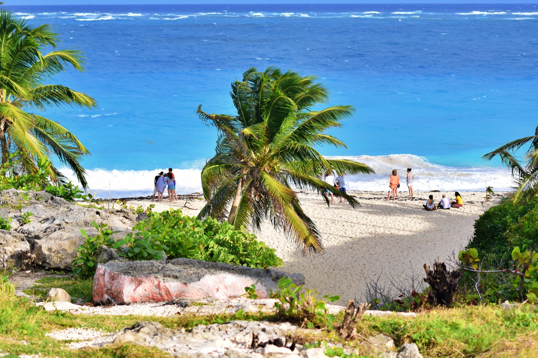 Groups of people enjoying the white sandy beaches of Barbados, with turquoise waters in the background and palm trees in the foreground.