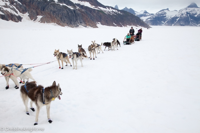 dogsled