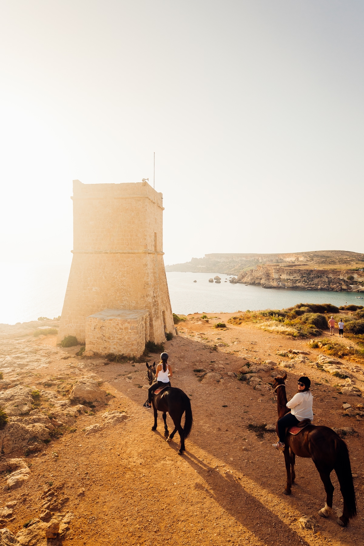 Horse riding in Malta