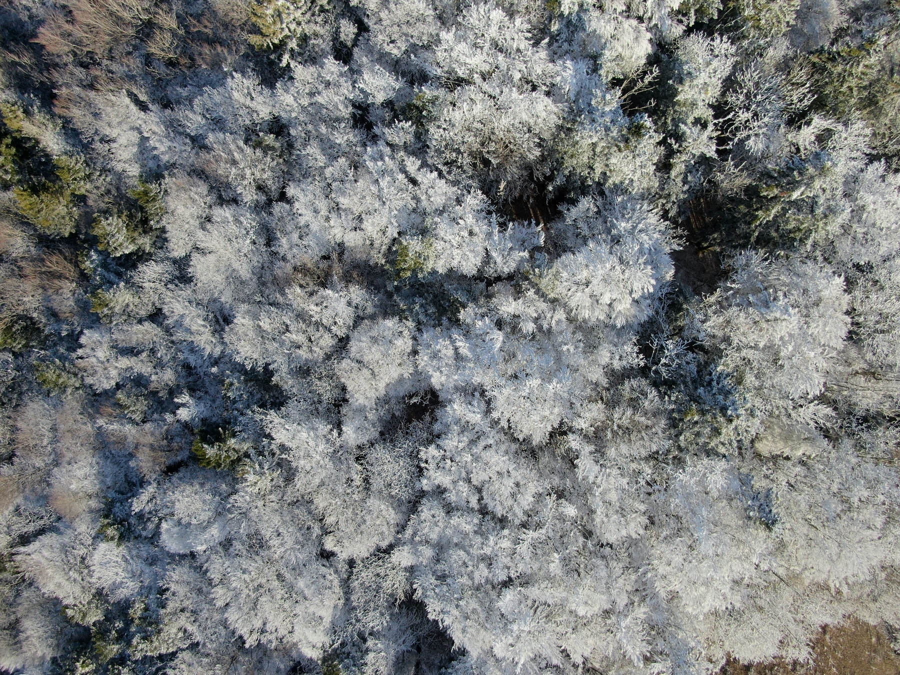 visitez le Vercors cet hiver