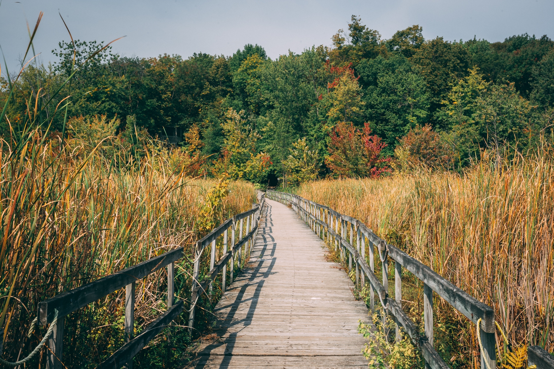 hiking trail in Oka National Park quebec