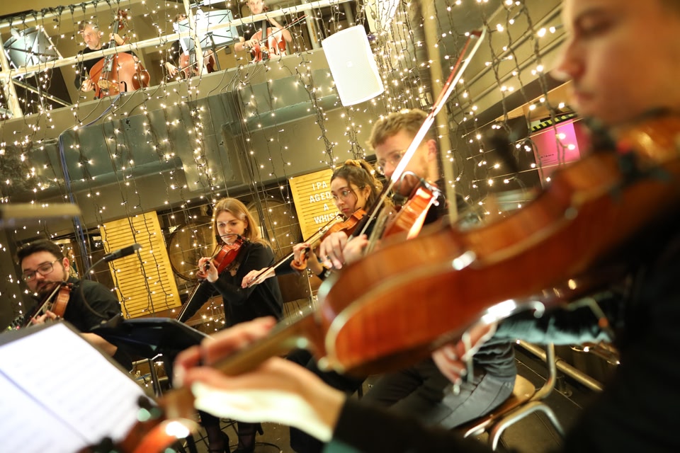 Violinists playing live music