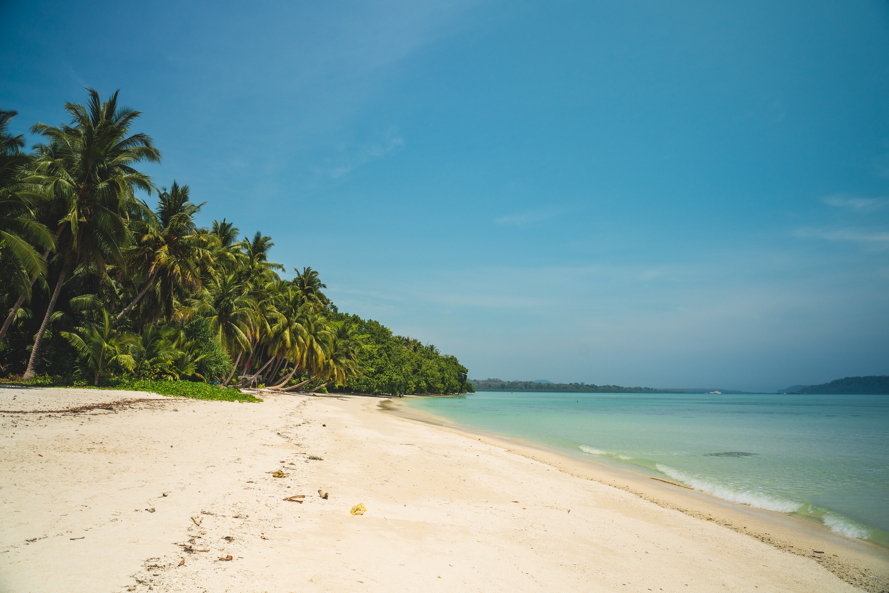 Picture shows a beach on the Andaman Islands, with white sand, blue water, and palm trees fringing the sand. It's a sunny day with blue skies.