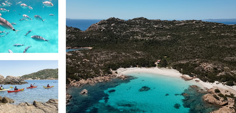 Acqua turchese cristallina con pesci che nuotano, un gruppo di persone che fa kayak lungo una costa rocciosa e una vista aerea di una spiaggia isolata con vegetazione lussureggiante.