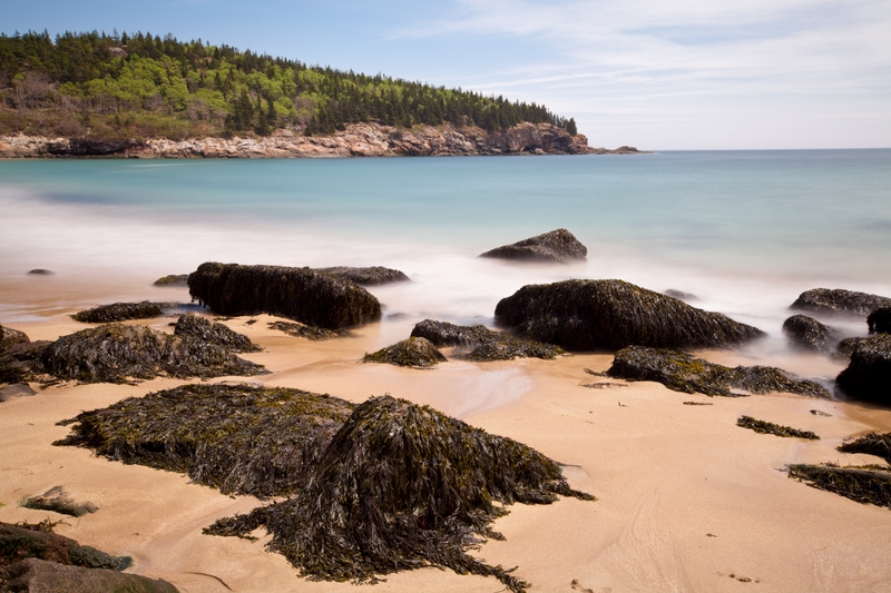Die schönsten Strände in Amerika: Sand Beach – Acadia National Park, Maine