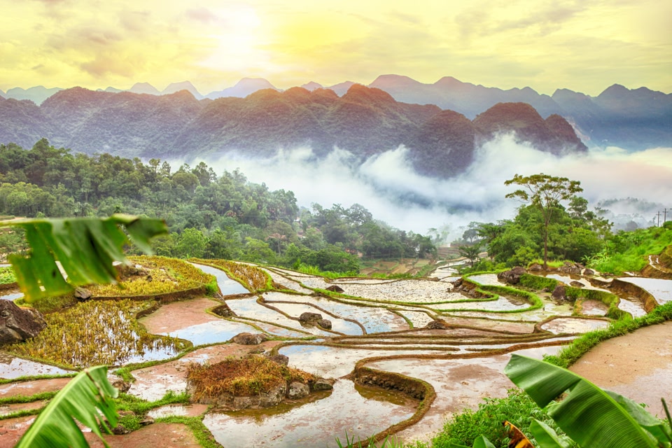 Terraced rice field in water season in Pu Luong, Thanh Hoa, Vietnam.
