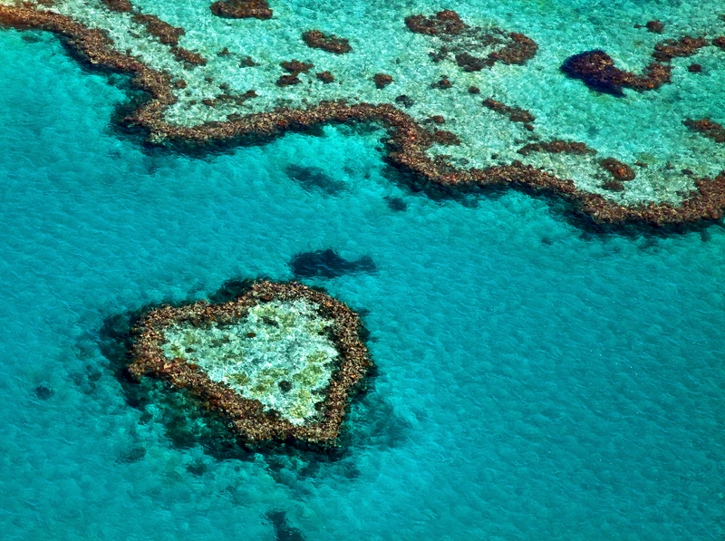 Heart Reef