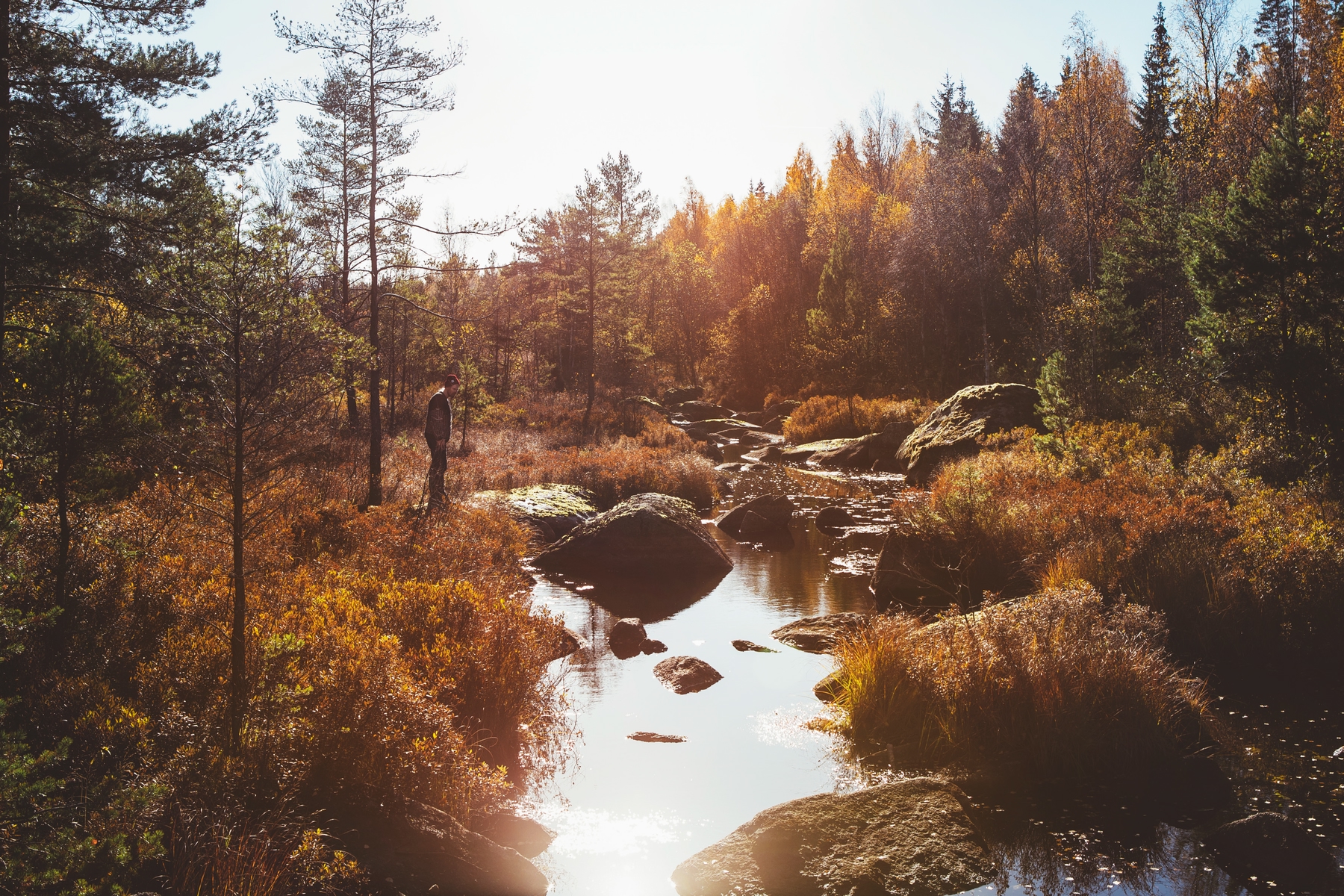 Notteryd Nature Reserve in Småland, Sweden
