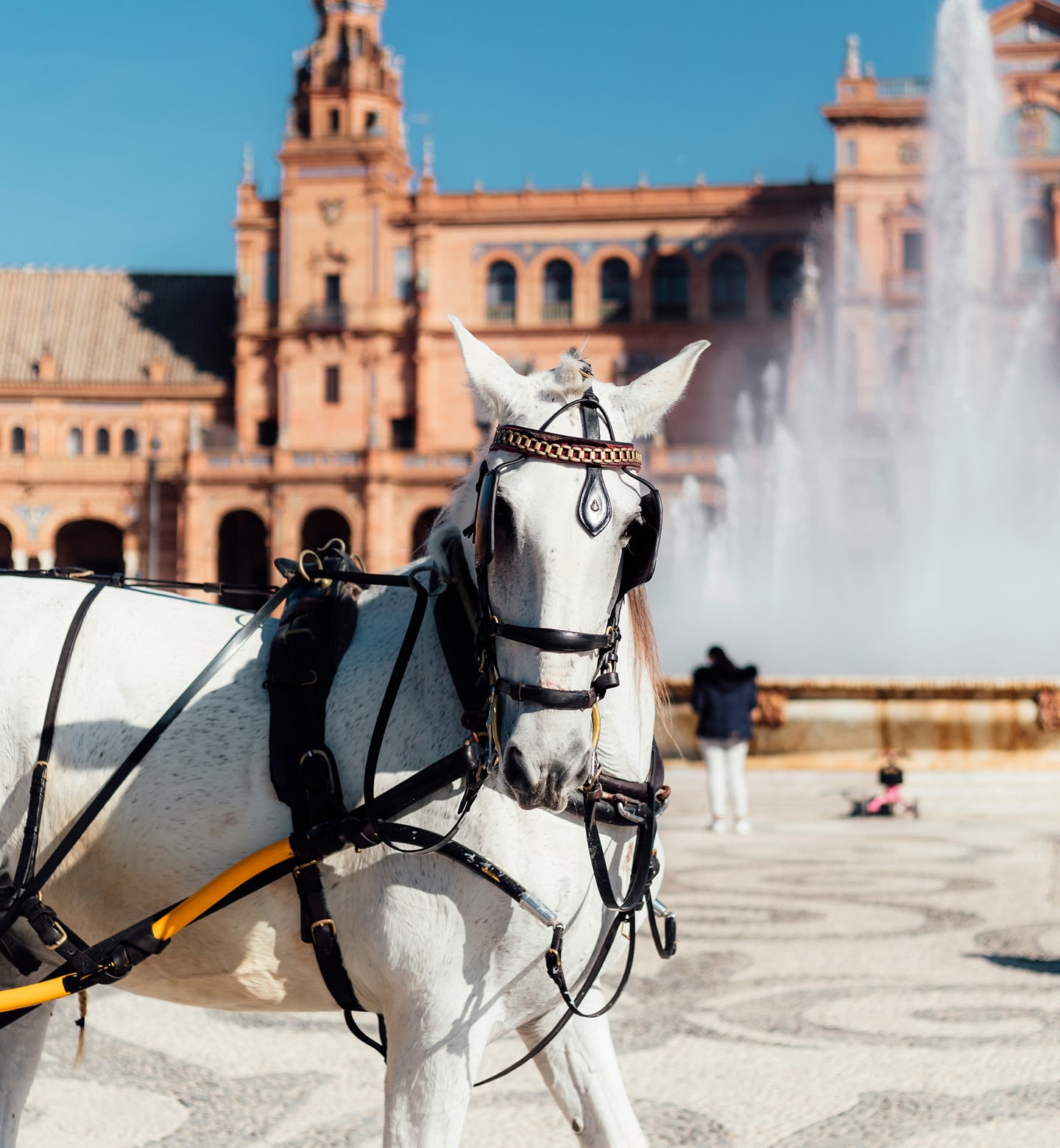Een wit koetspaard staat bij een fontein op de Plaza de España in Sevilla.
