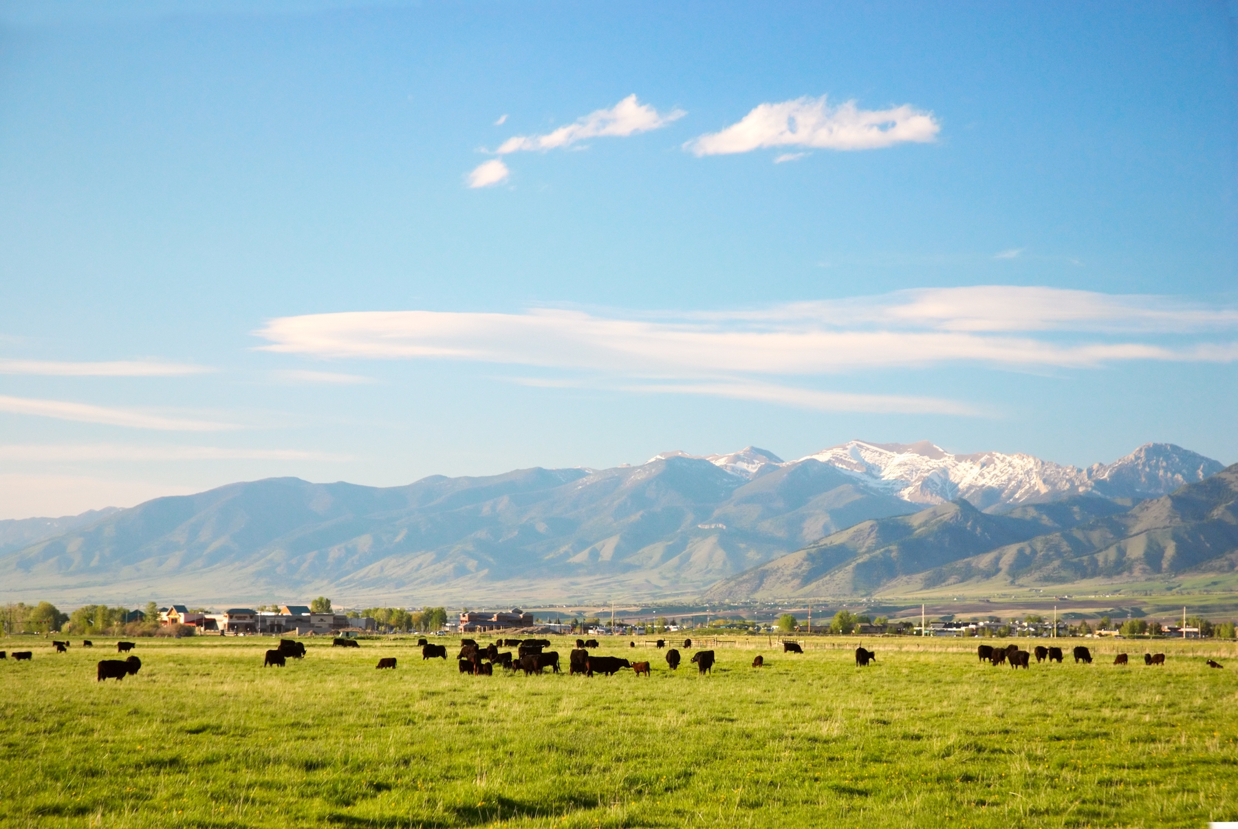 Open plains of Montana
