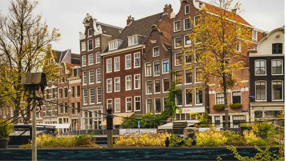 Tall building near Amsterdam's canal surrounded by trees with yellow and green leaves.