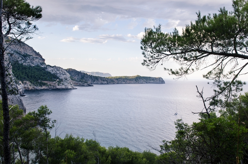 Coll Baix