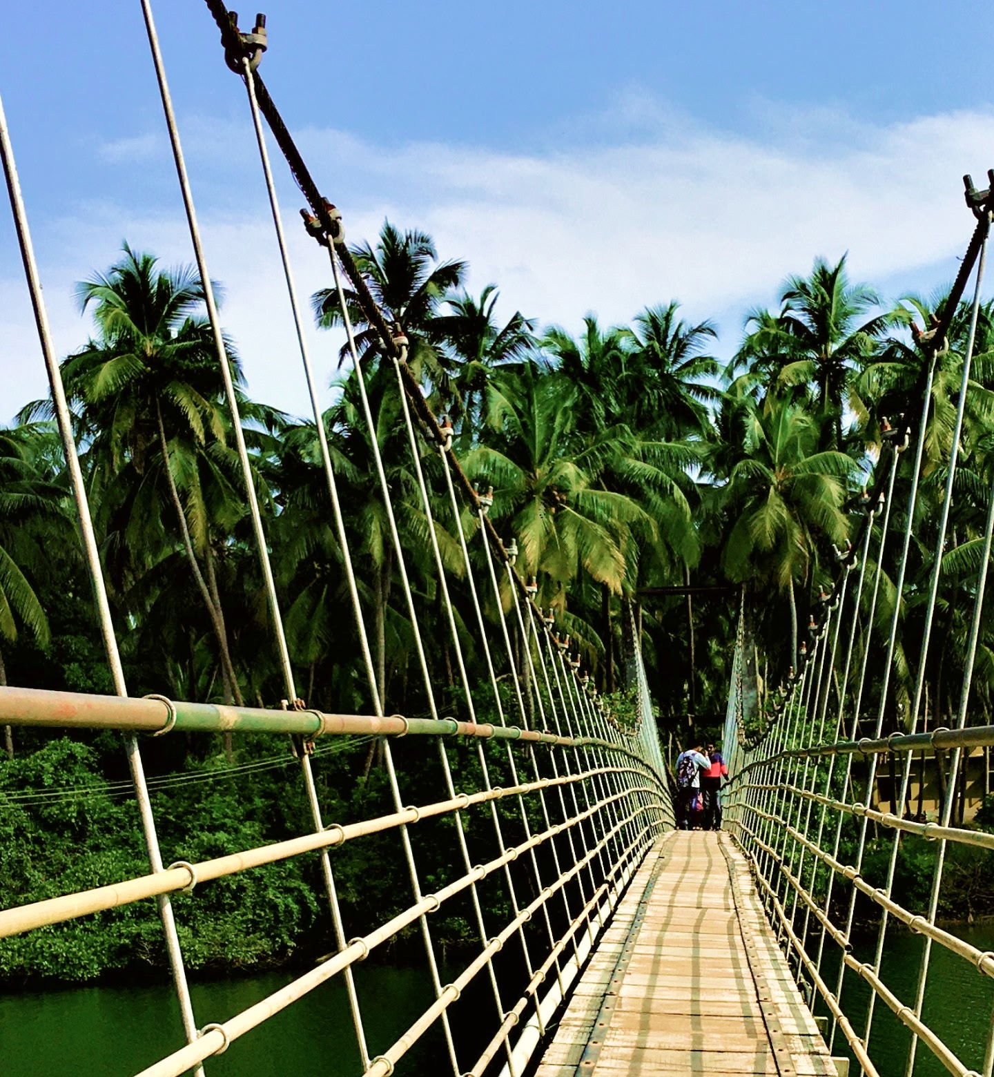 Suspension bridge seen through a tropical palm forest in Mangalore, India.