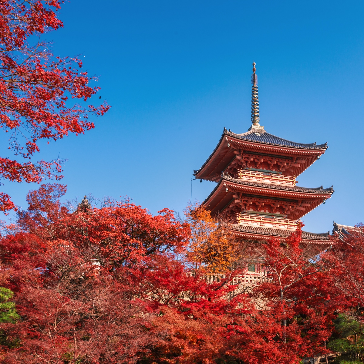 Die schönsten Städte Japans: Kyoto, Kansai (Honshu)