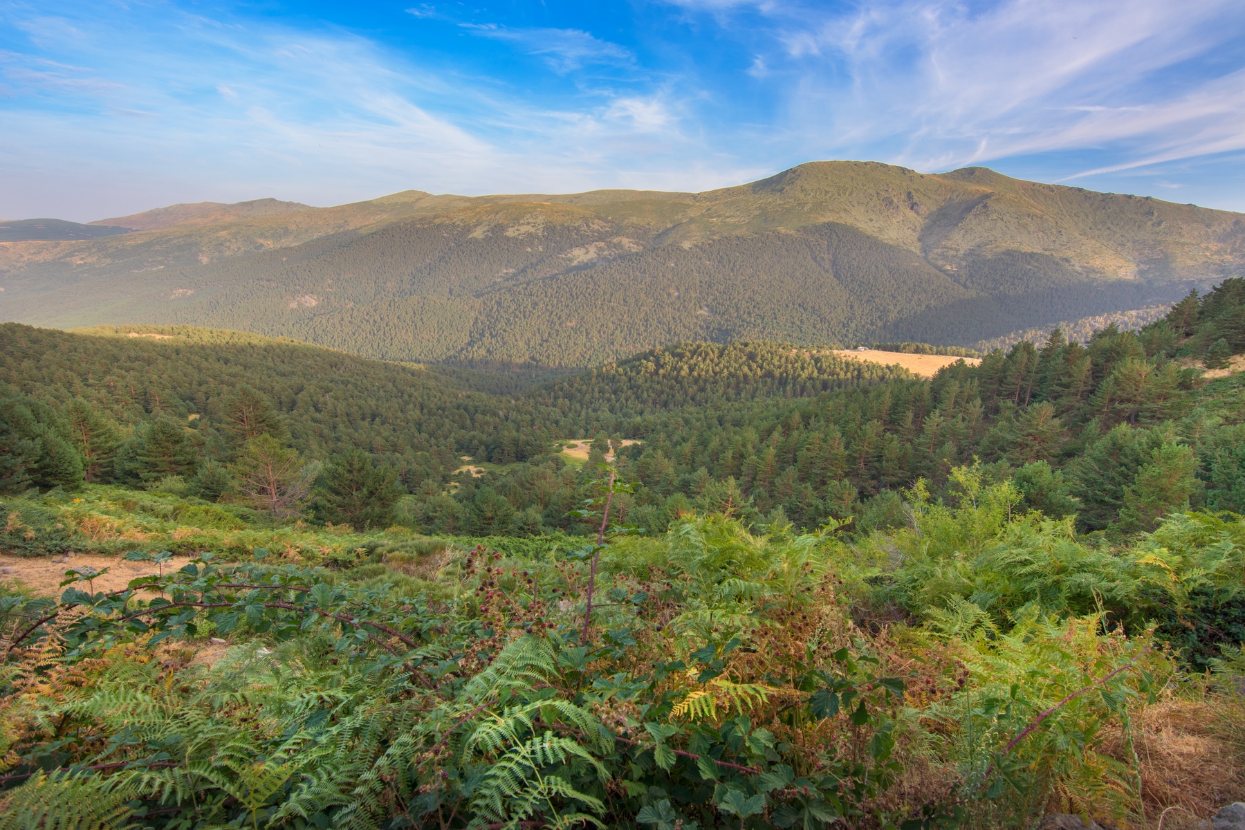 Sierra de Guadarrama, España
