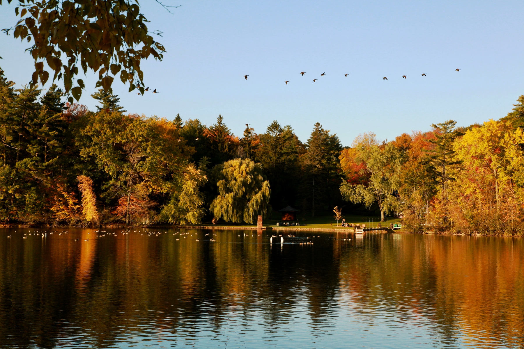 lake in Mont-Saint-Bruno National Park