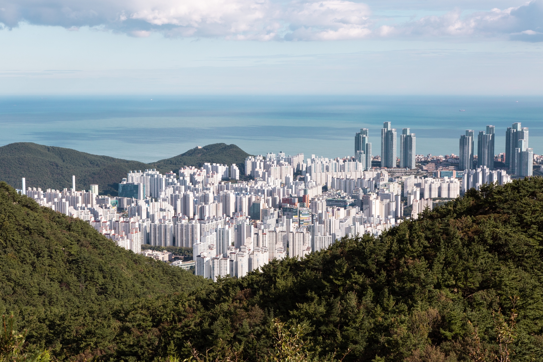 view from a mountain in Busan, South Korea. Apartment buildings in the distance and the blue Korean Sea. 