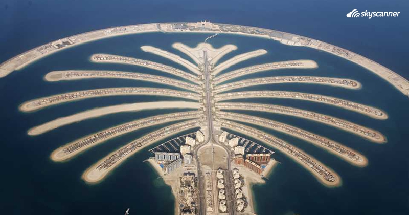 ปาล์มจูเมียราห์