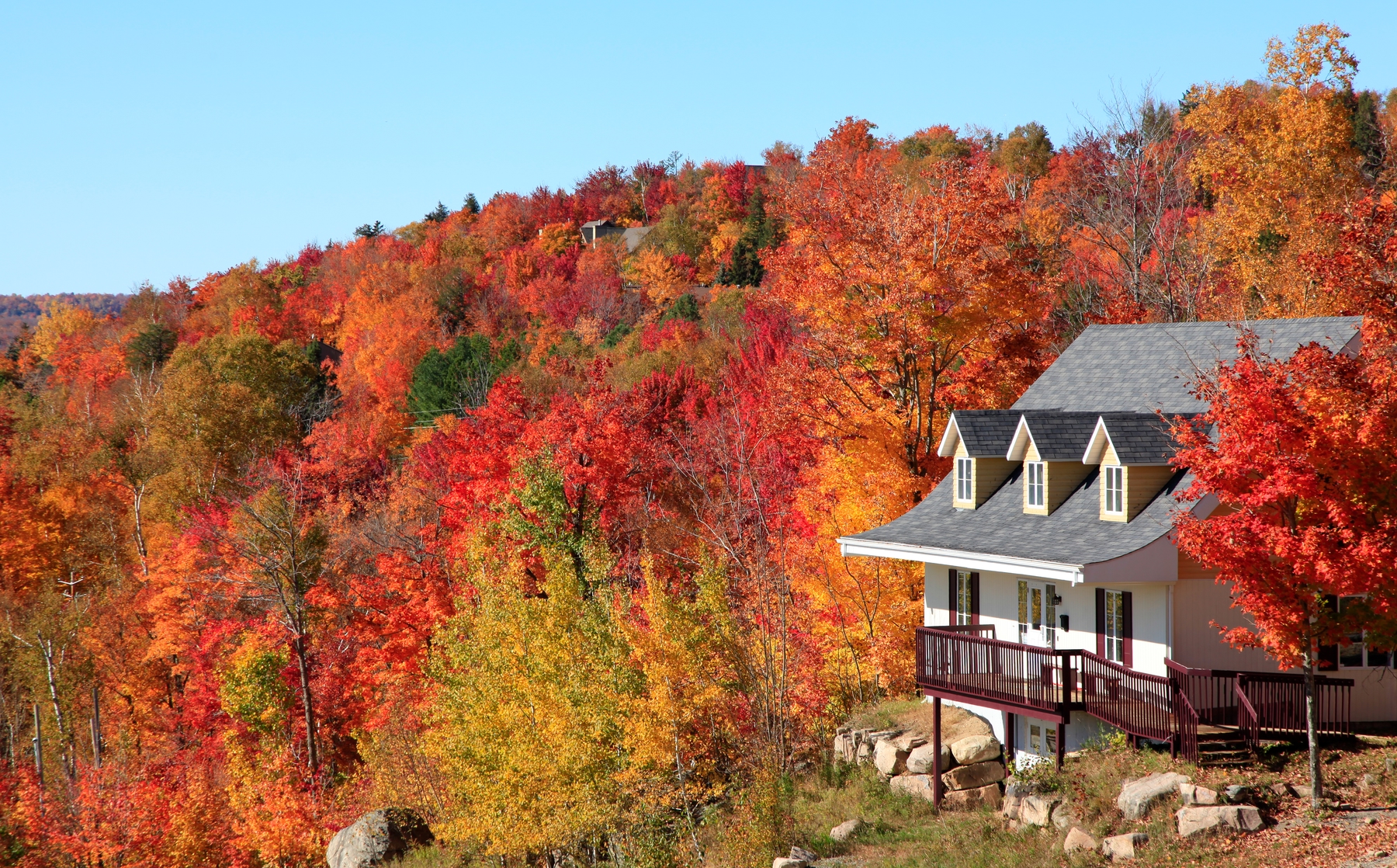fall foliage and cabin in the quebec countryside