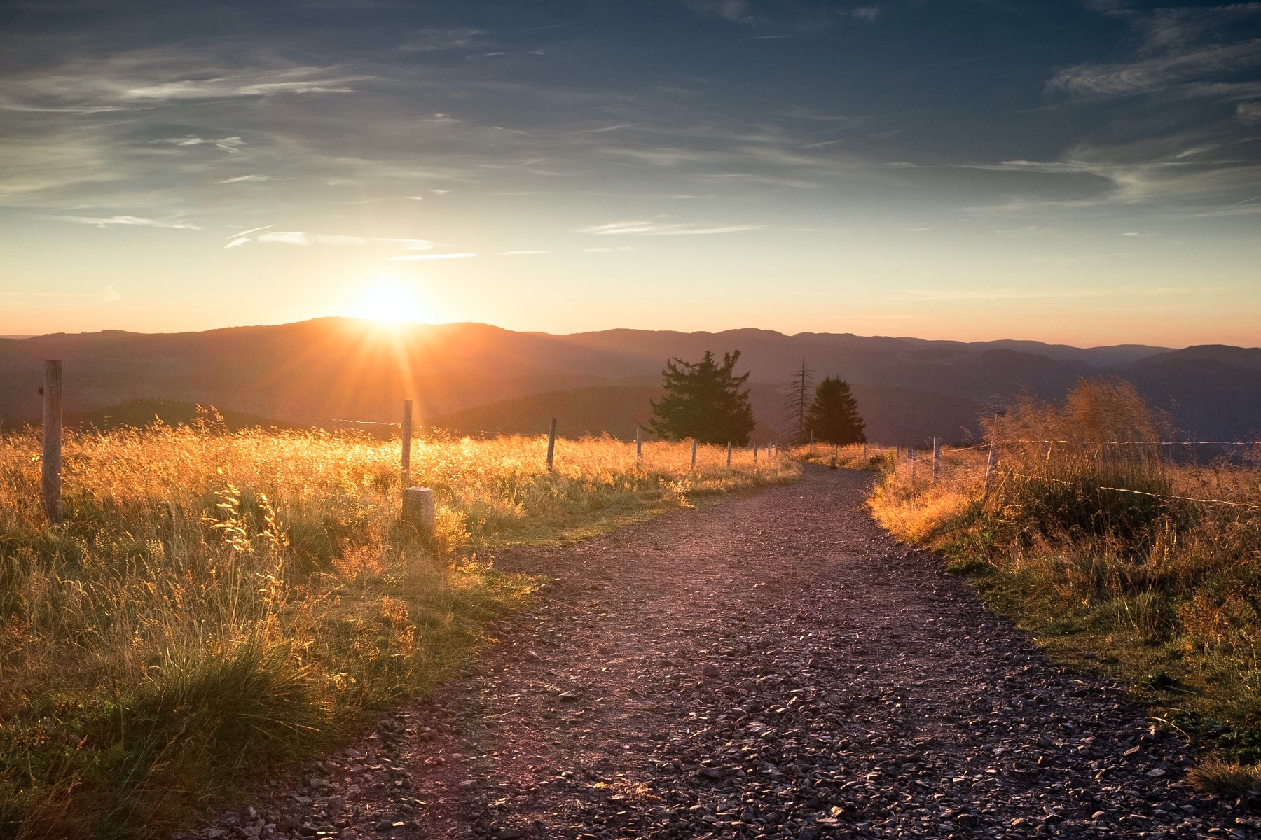 Wanderwege im Schwarzwald