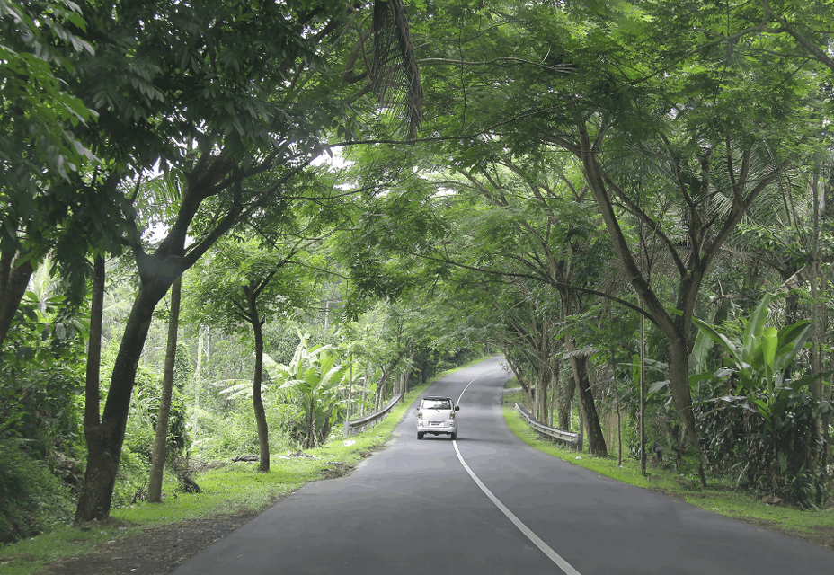 Long road in Bali