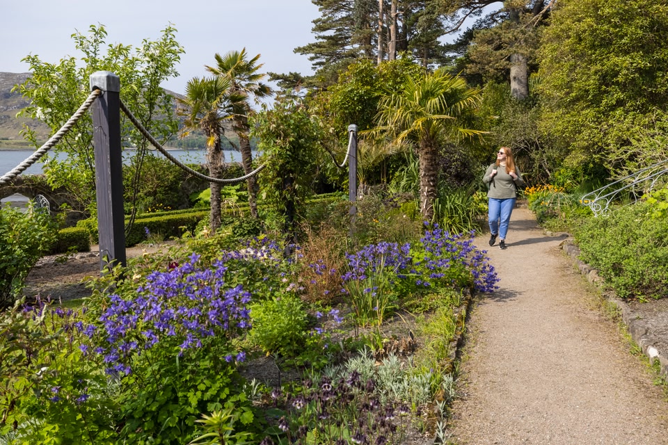 Schottlands UNESCO Trail: Vögel in Wester Ross