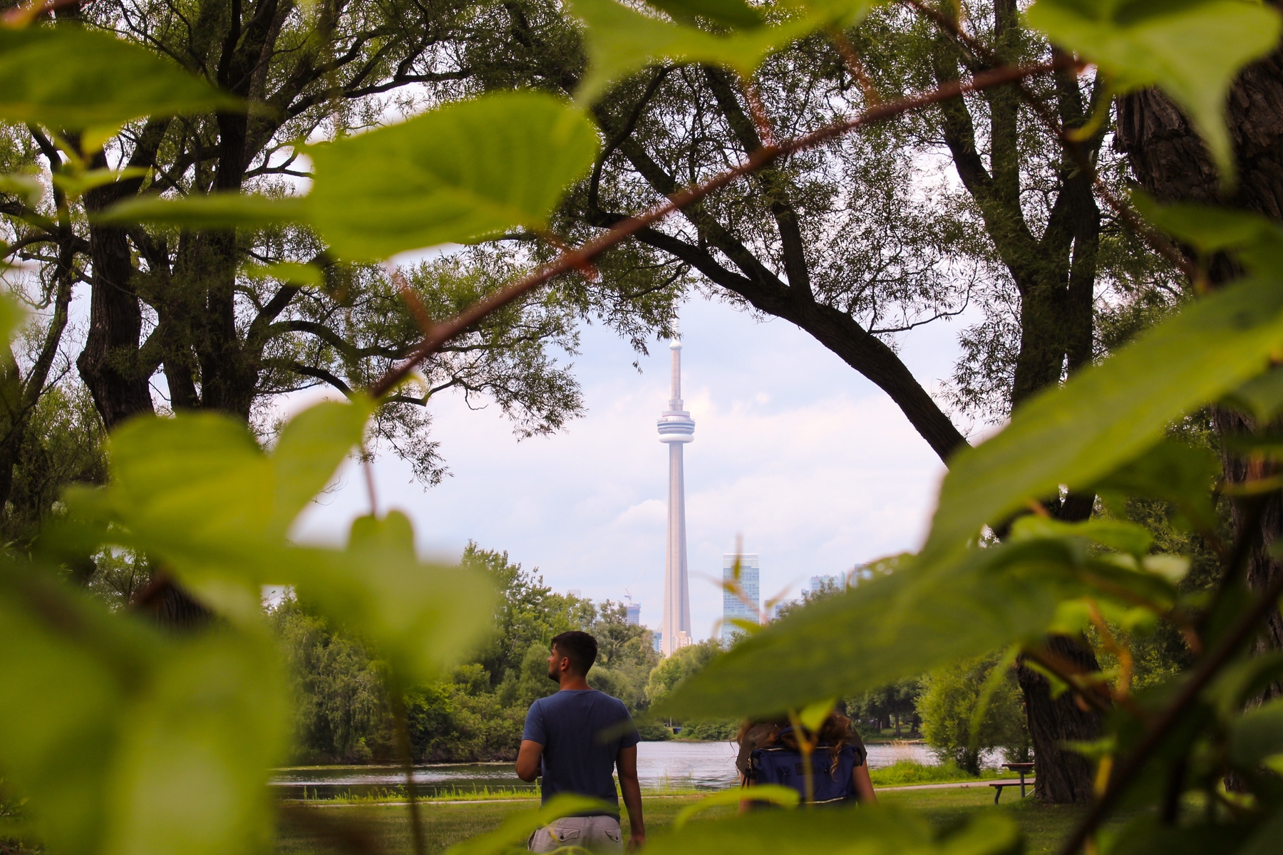 traveller at a park in Toronto, CN Tower in the background.
