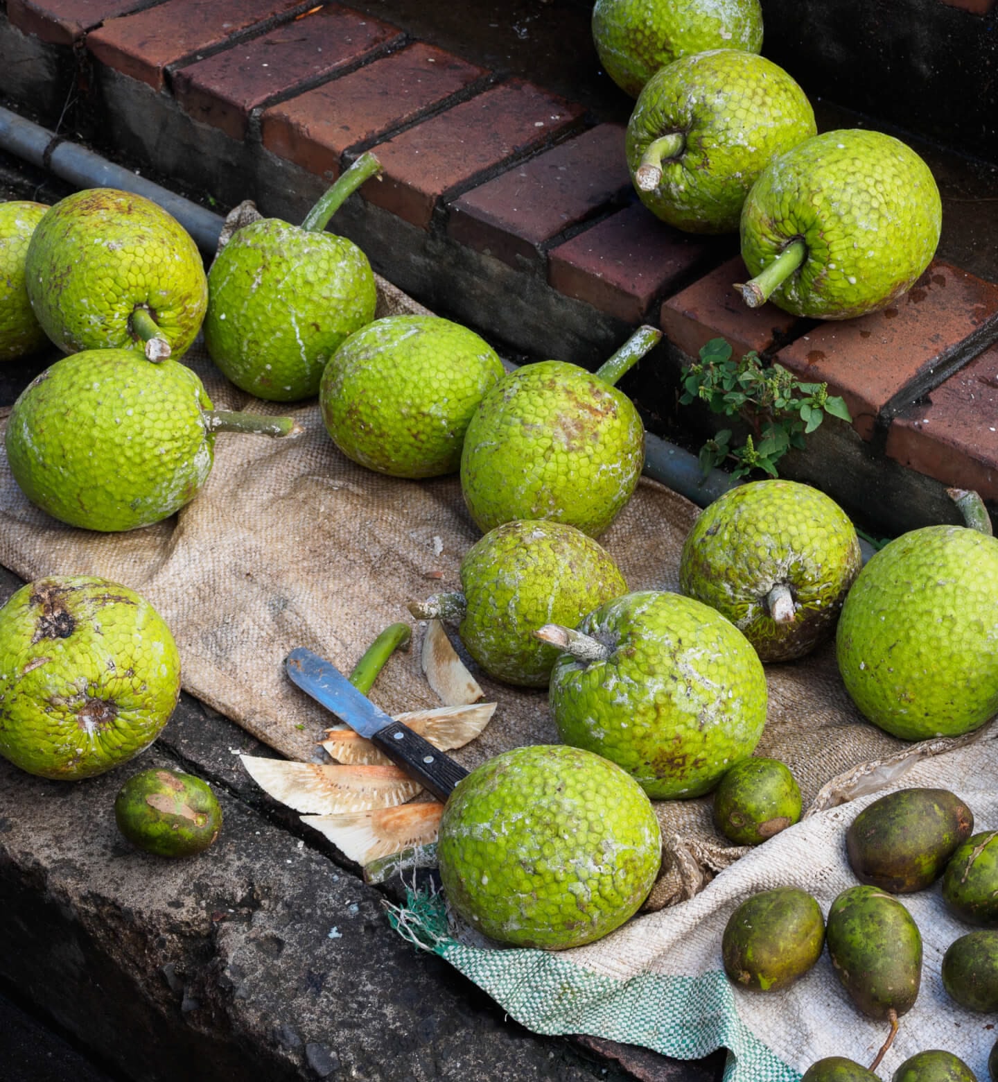 Green fruits laying on top of a hessian cloth on the side of the street in St George's, Grenada
