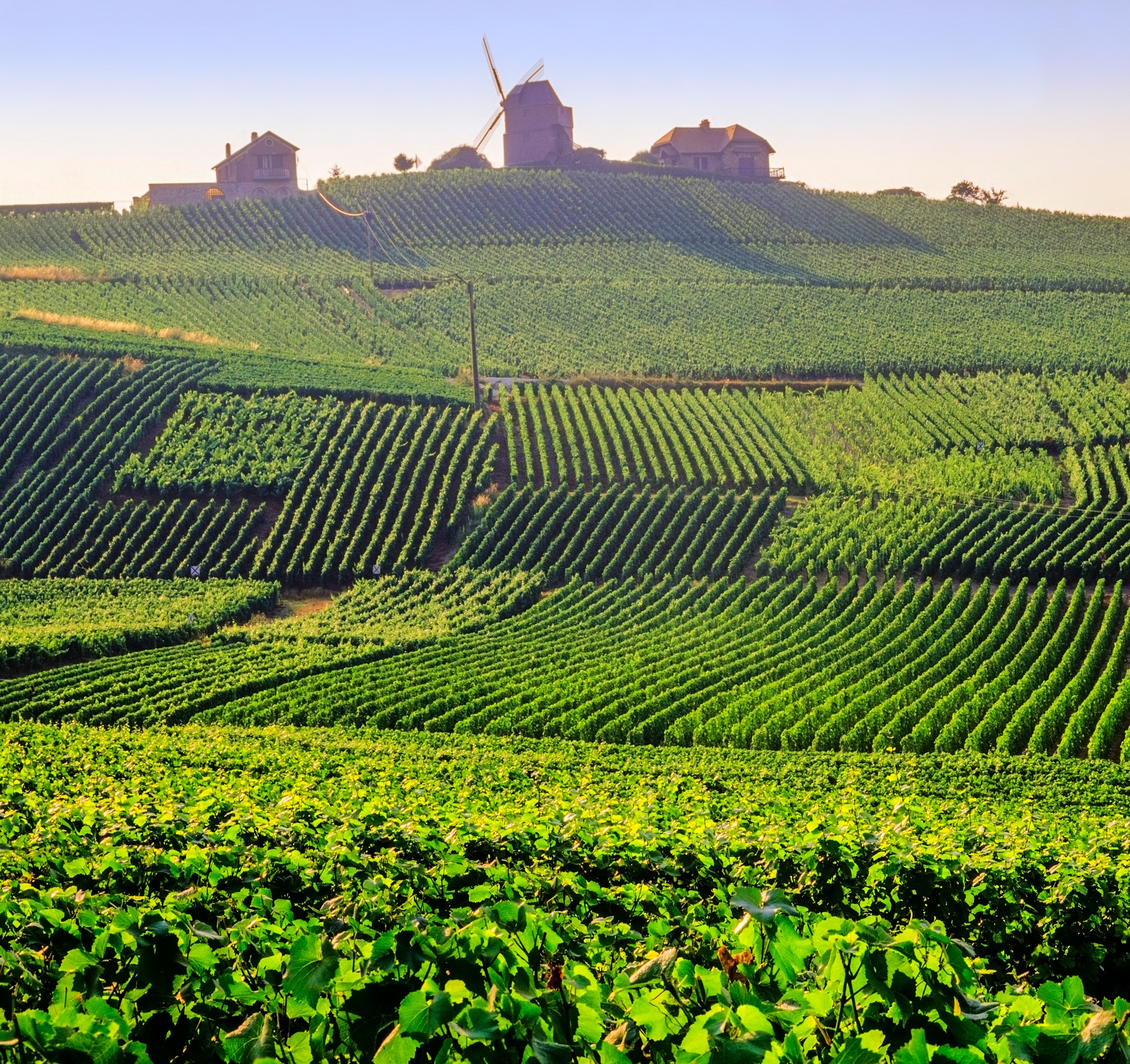 Bike-friendly cities in Champagne, France, including vineyards and windmills
