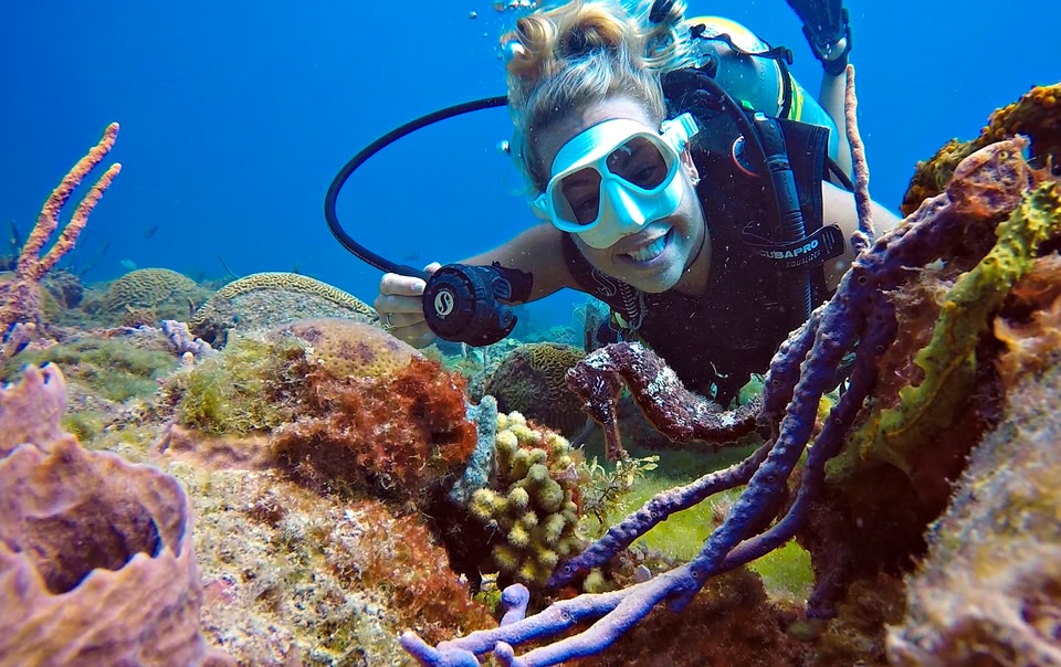 Frau erkundet die bunte Unterwasserwelt von Barbados