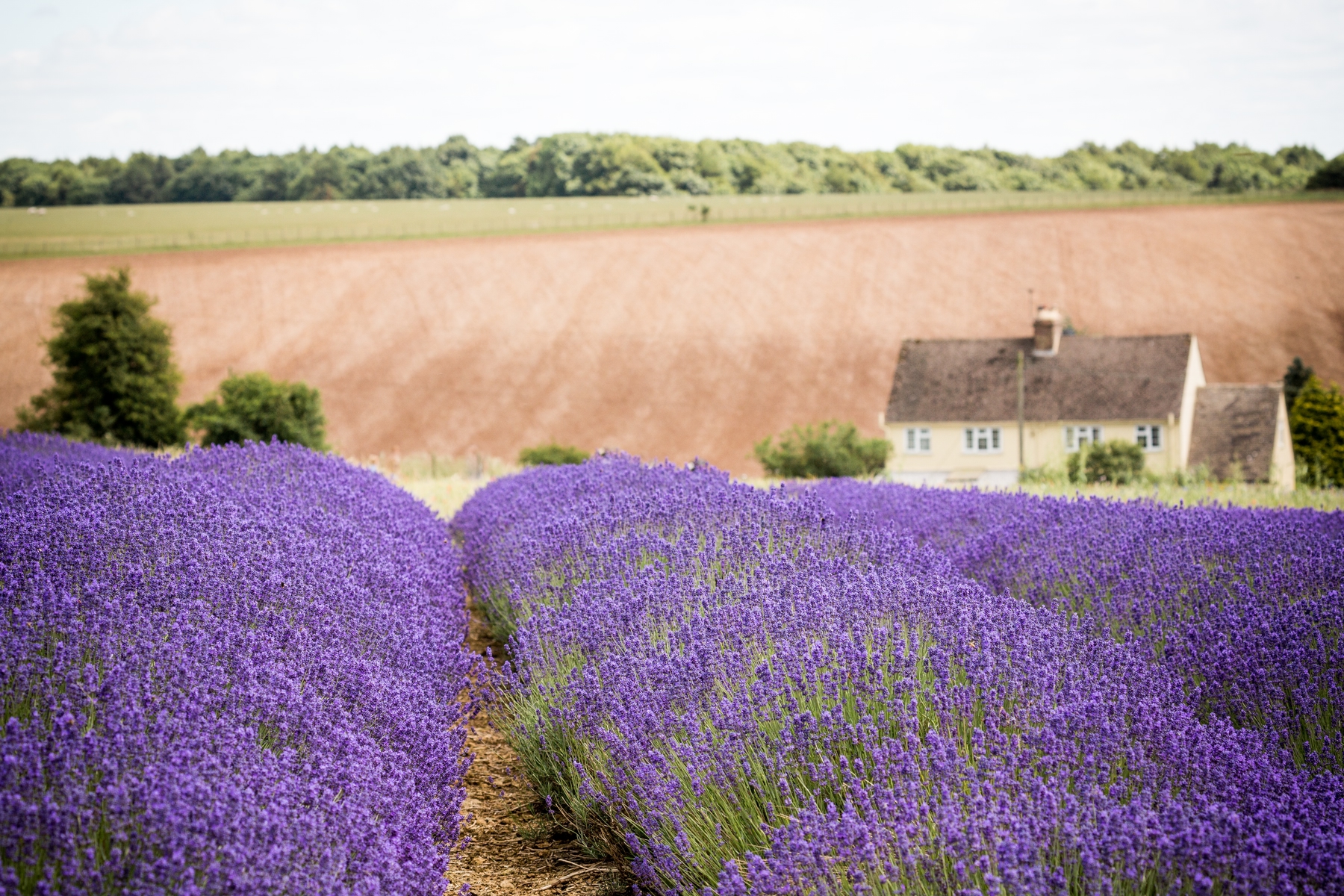 Snowshill is one of the prettiest villages in England