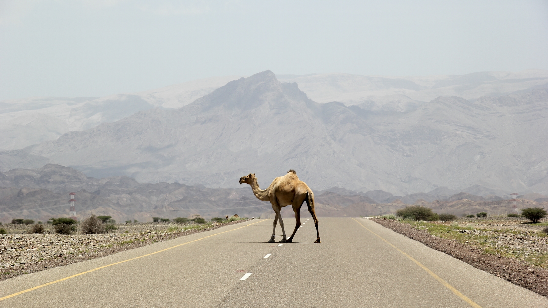 Ciepłe kraje zimą: Oman