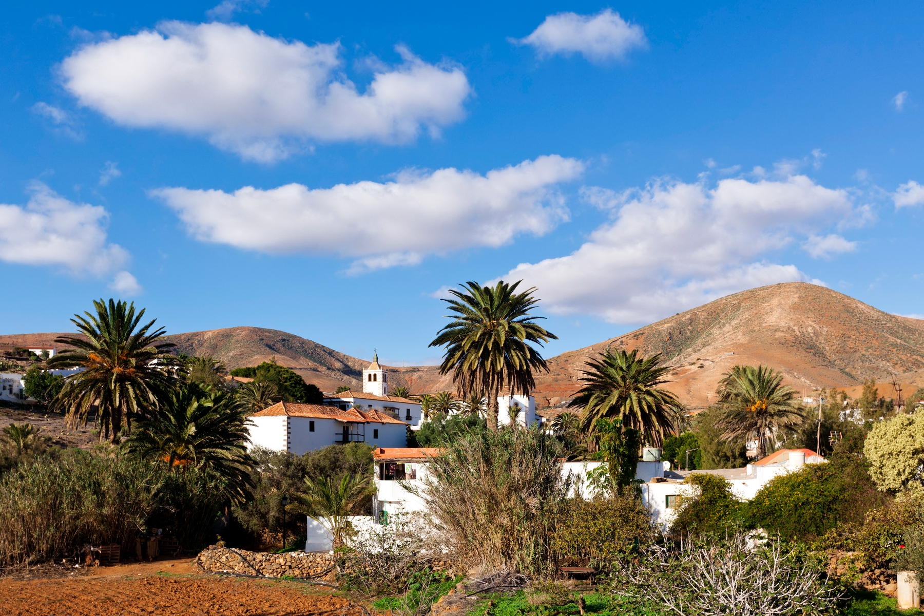 best time to visit fuerteventura