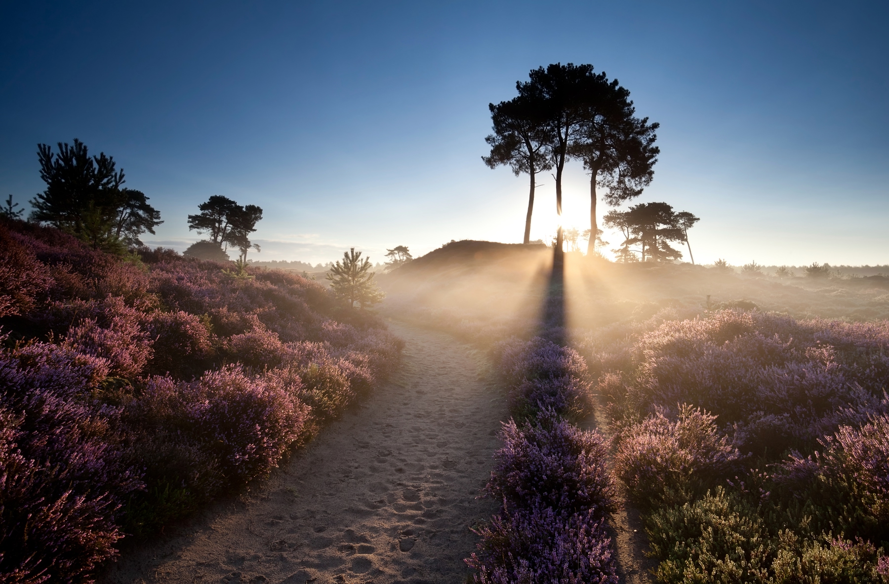 Staycation regels in Nederland