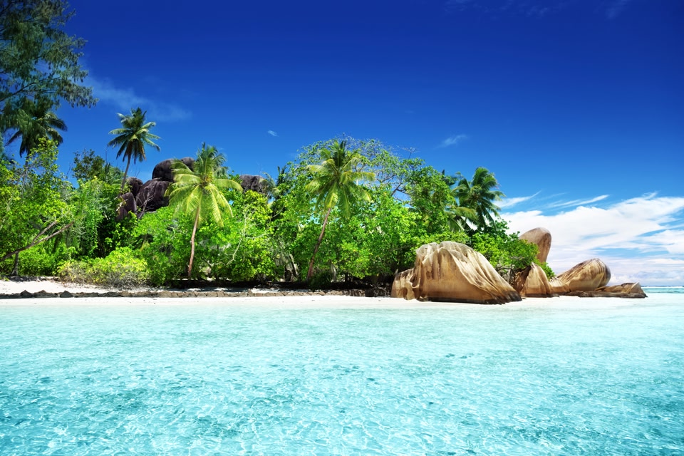 Clear water and palm trees in Seychelles