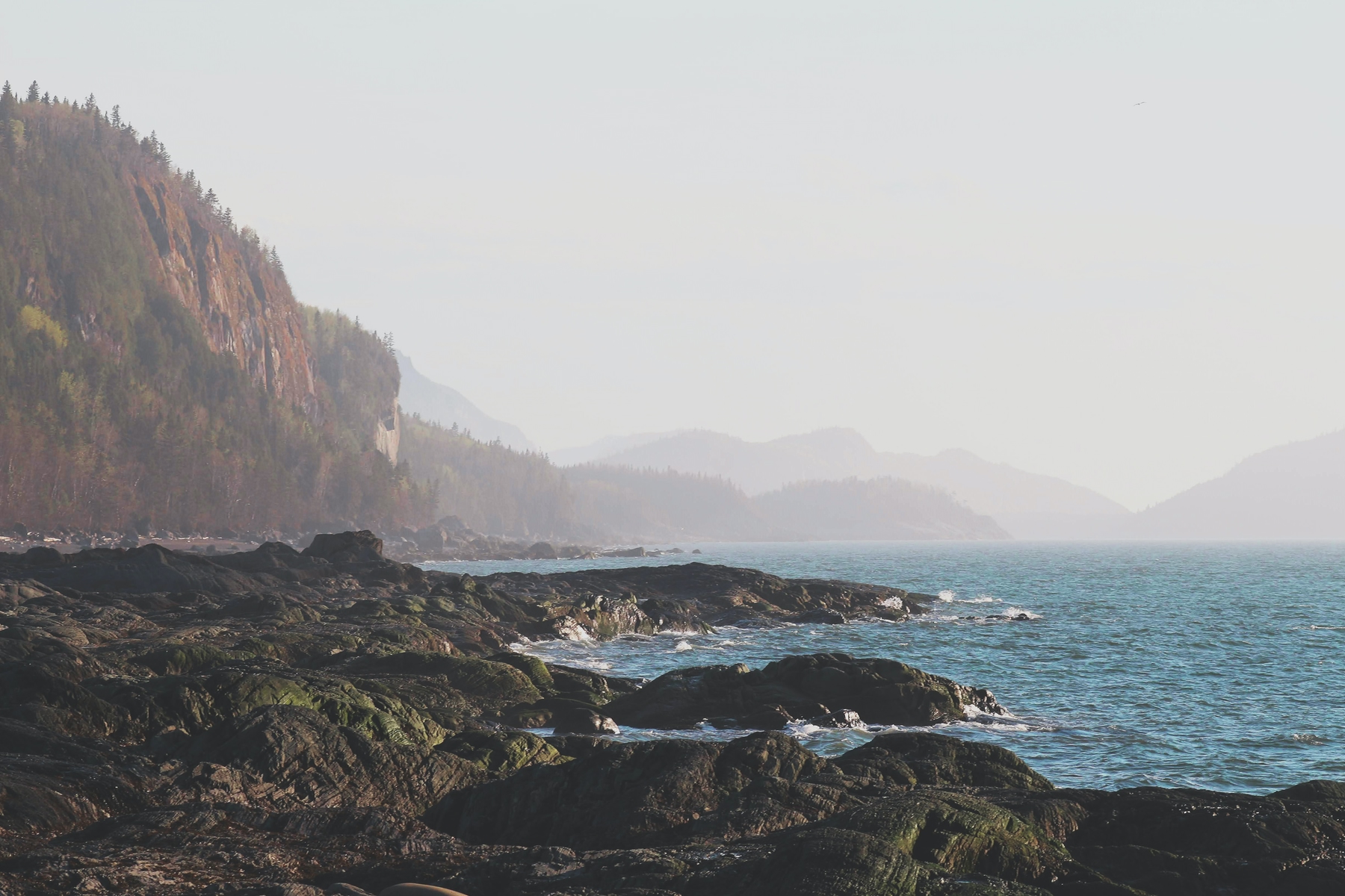 misty shoreline of Parc national du Bic in Quebec, with rocks and mountain ranges in the background