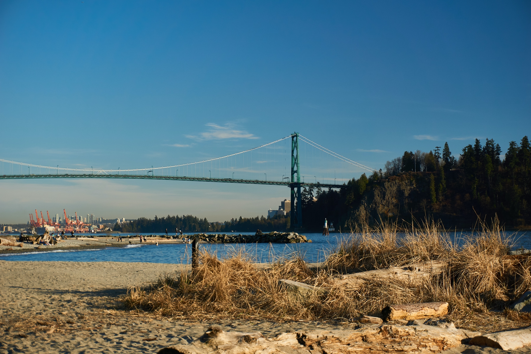 view of Lions Gate Bridge in Vancouver